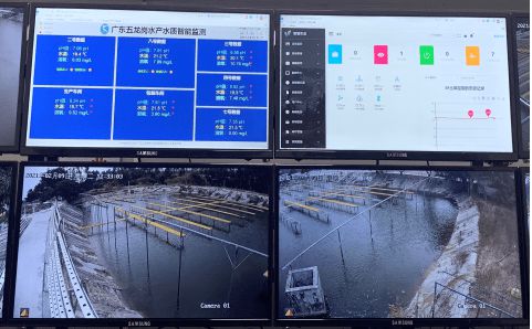 花都區 科技興漁啟新程，人工智能與“芯片魚”引領智慧漁業探索